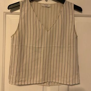 🦓Striped Babaton (Aritzia) sleeveless top